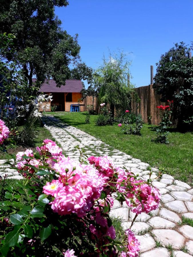 Casa Pavel Jurilovca Villa Exterior foto