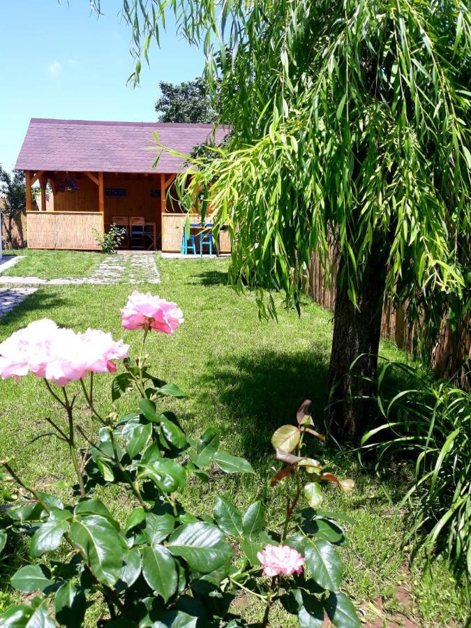 Casa Pavel Jurilovca Villa Exterior foto