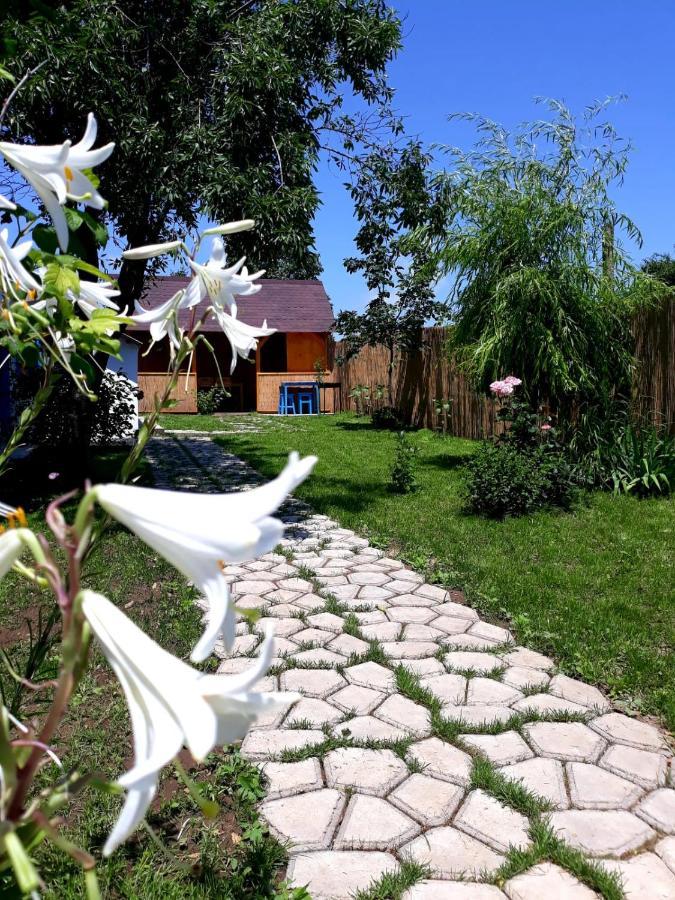 Casa Pavel Jurilovca Villa Exterior foto